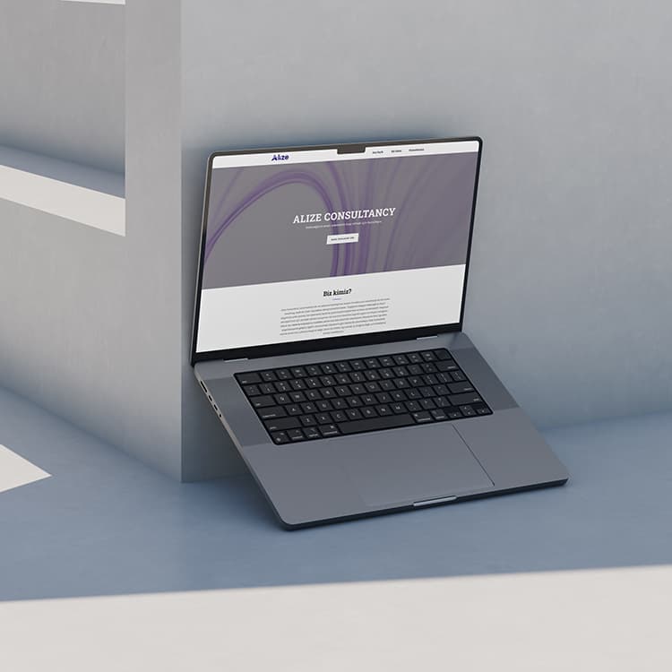 Alize Consultancy